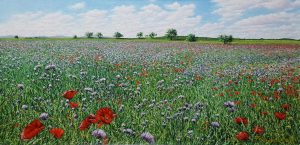 Por la mancha en primavera