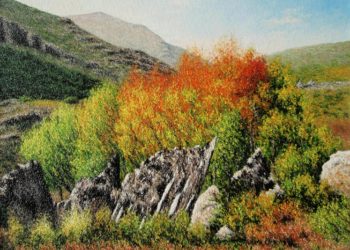 Otoño en su máximo esplendor en el Parque Natural del Hayedo de Tejera Negra en la provincia de Guadalajara, con esa mezcla de tonos amarillos y rojizos.