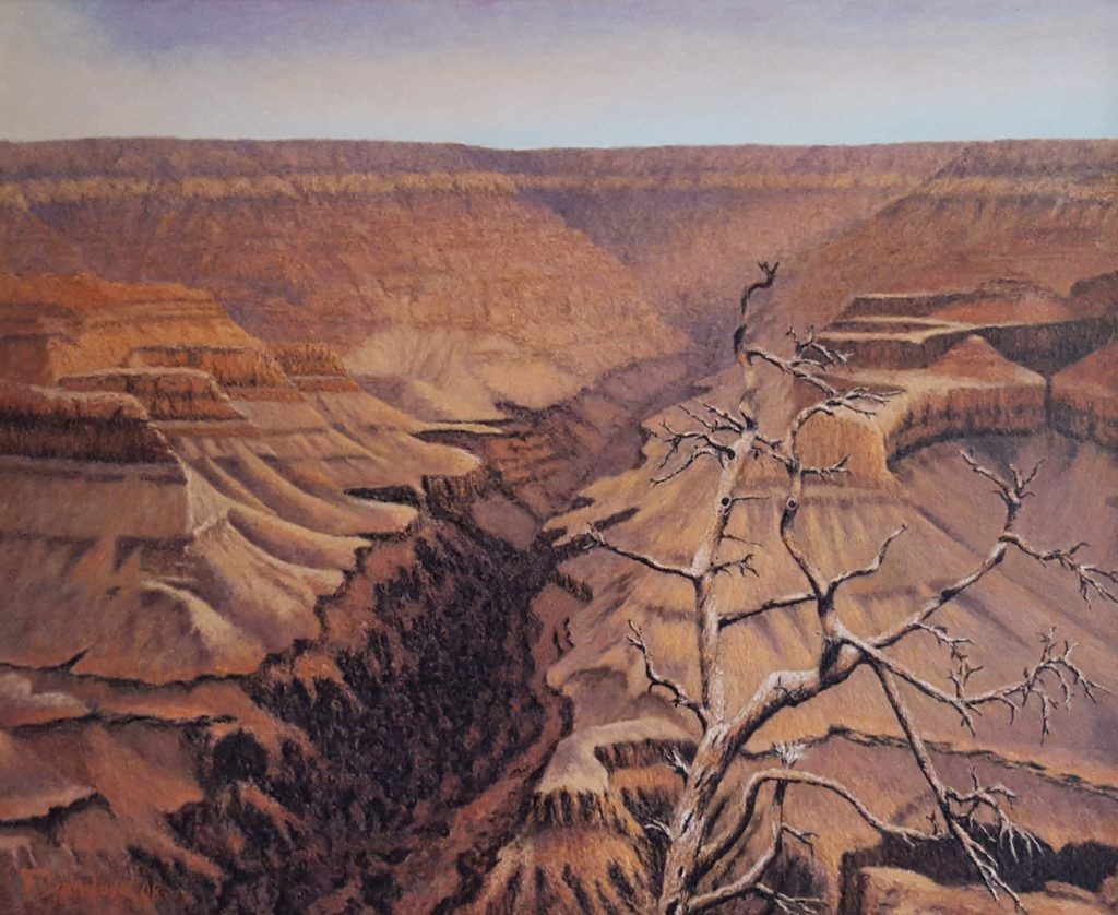 El cañón del Colorado, al norte de Arizona, EEUU, conocido mundialmente por sus cañones de desnivel y sus característicos colores rojizos de la tierra.