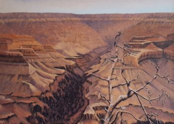 El cañón del Colorado, al norte de Arizona, EEUU, conocido mundialmente por sus cañones de desnivel y sus característicos colores rojizos de la tierra.