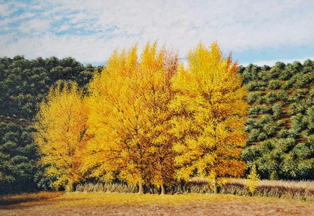 Chopos en otoño en al parque natural de las Lagunas de Ruidera, Albacete-Ciudad real, con esos colores que muestran estos árboles al incidir el sol.