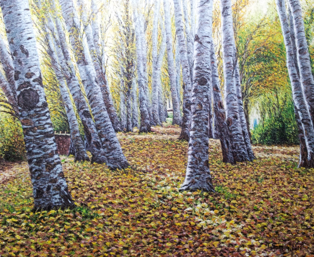 Álamos blancos en las cercanías del Parque Natural de las Lagunas de Ruidera, con un suelo de hojas ocres típico del otoño a la caída de las hojas.