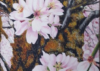 Almendro en flor con su tronco, con la diversidad de tonalidades del tronco del almendro en la época de la primavera, dando tonalidades verdosas y rojizas.