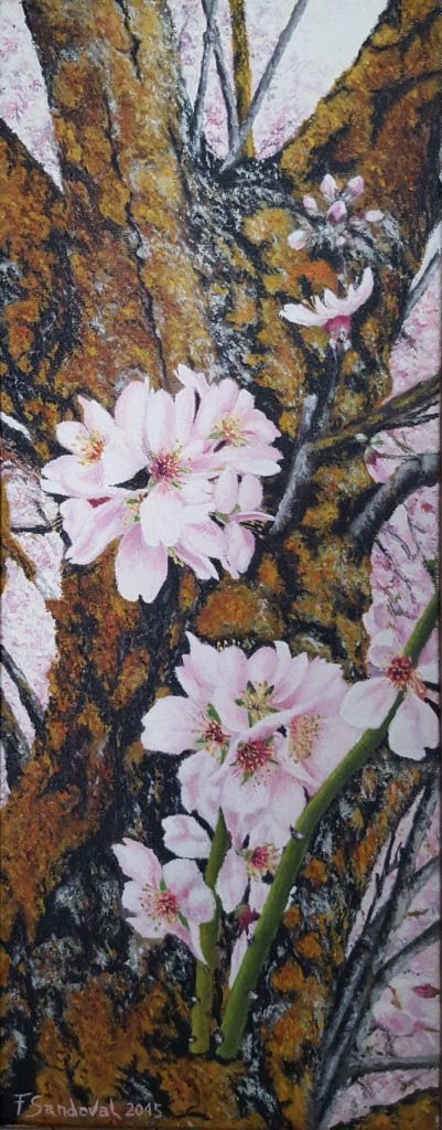 Almendro en flor con su tronco, con la diversidad de tonalidades del tronco del almendro en la época de la primavera, dando tonalidades verdosas y rojizas.