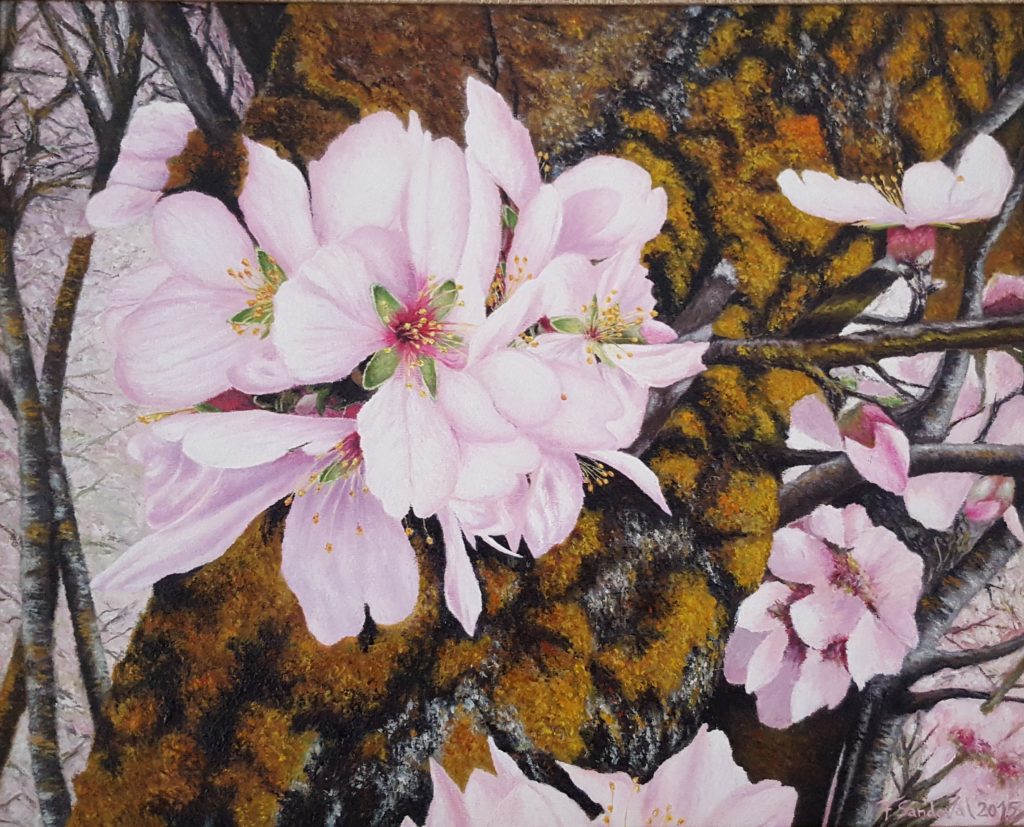 Almendro en flor II, observando la hoja en su máximo esplendor, con la diversidad de tonalidades del tronco del almendro en la época de la primavera.
