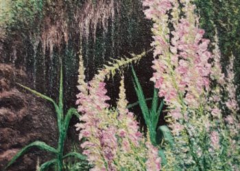 Este lienzo de orquídeas silvestres comunes en la zona de la Sierra del Segura en Albacete, con esas tonalidades rosadas-violetas.