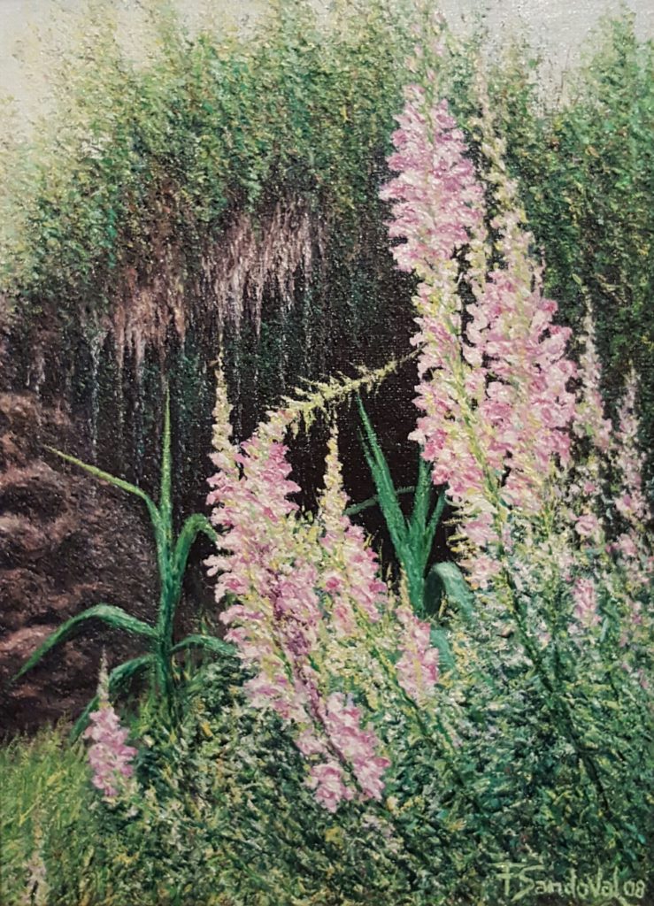 Este lienzo de orquídeas silvestres comunes en la zona de la Sierra del Segura en Albacete, con esas tonalidades rosadas-violetas.