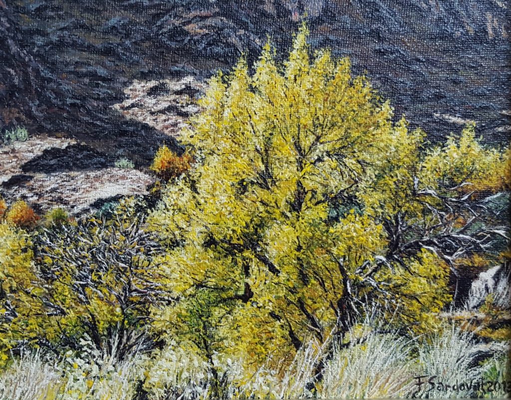Subiendo a la Mesta refleja árboles y arbustos típicos enclavados en un paraje natural bellísimo en la sierra de Alcaraz, en la provincia de Albacete.