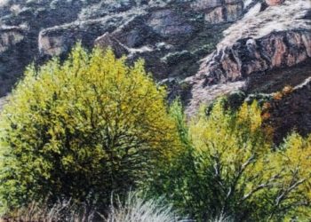 Subiendo a la Mesta refleja árboles y arbustos típicos enclavados en un paraje natural bellísimo en la sierra de Alcaraz, en la provincia de Albacete.