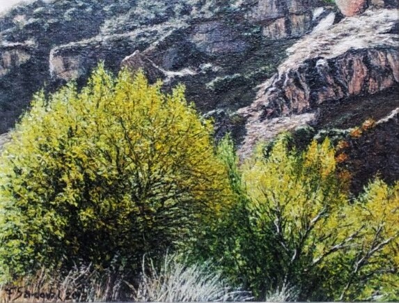 Subiendo a la Mesta refleja árboles y arbustos típicos enclavados en un paraje natural bellísimo en la sierra de Alcaraz, en la provincia de Albacete.