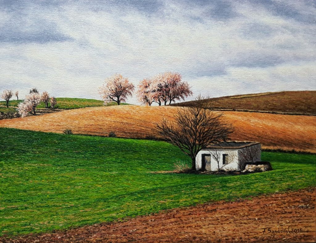 Campo manchego, uno de los paisajes más típicos que se contemplan en La Mancha, con las típicas tierras marrones-rojizas, almendros y su casita de labranza.