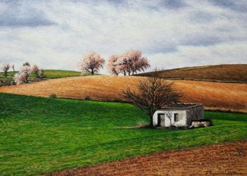 Campo manchego, uno de los paisajes más típicos que se contemplan en La Mancha, con las típicas tierras marrones-rojizas, almendros y su casita de labranza.