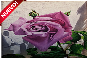 Rosa de Mayo