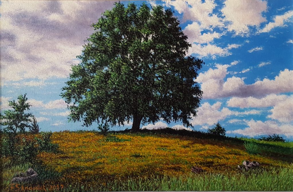 Encina en primavera