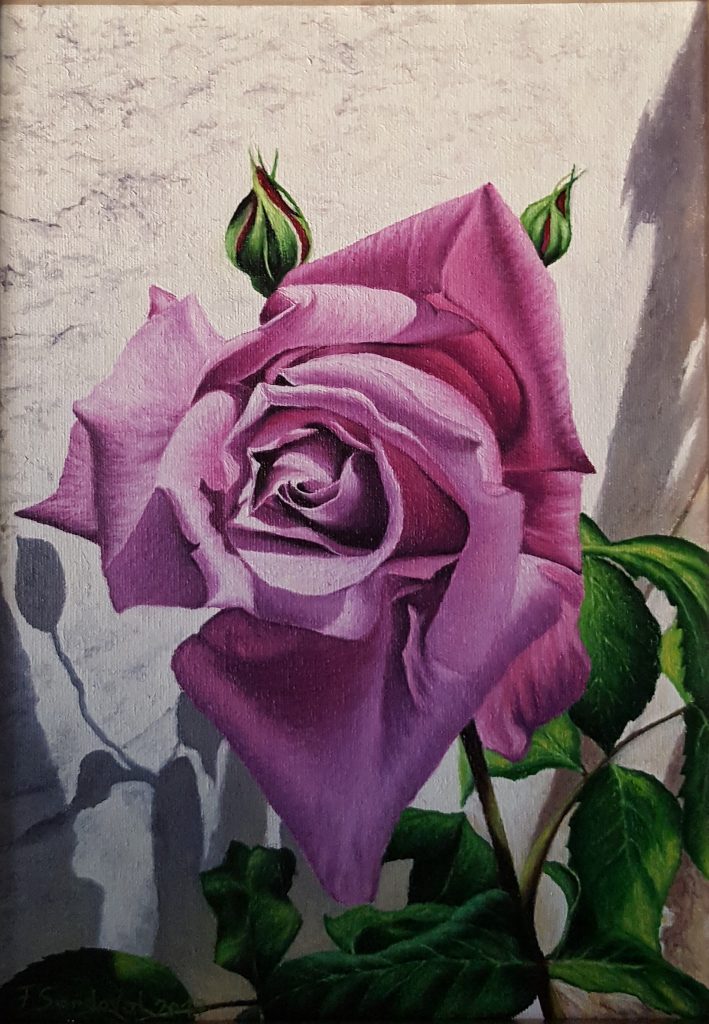 Rosa de Mayo